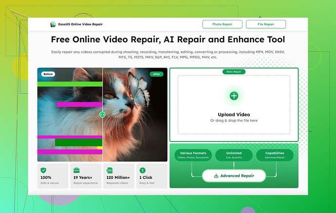 EaseUS Online-Video-Reparatur